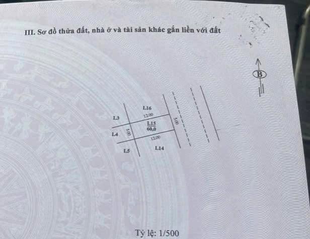 Đất đấu giá Mậu Lương Hà Đông 60m² - Sổ đỏ chính chủ, đầu tư sinh lời