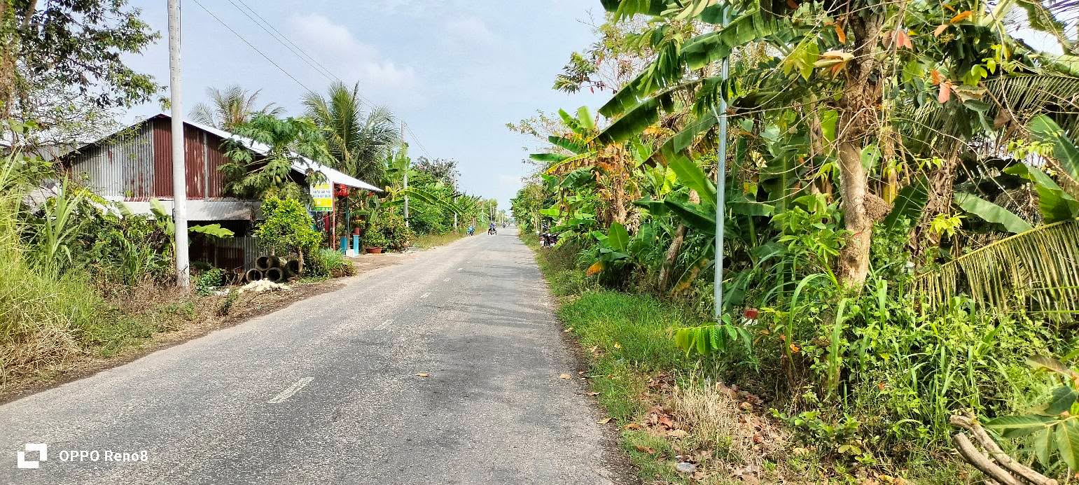 Đất nền QL 80B An Giang 695m² - Xây dựng tự do, giá tốt!