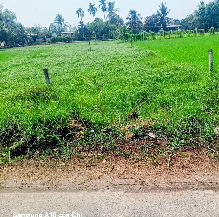 Bán Đất Mặt Tiền Mỹ Hạnh Nam, Long An - 210m² Sổ Hồng, Giá 1.8 Tỷ