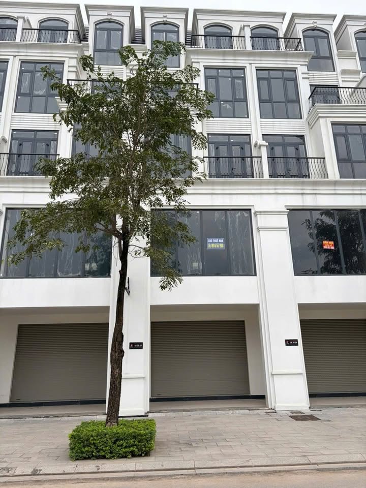 Shophouse Hoài Đức 100m² giá 20.x tỷ - Mặt tiền kinh doanh đắc địa!