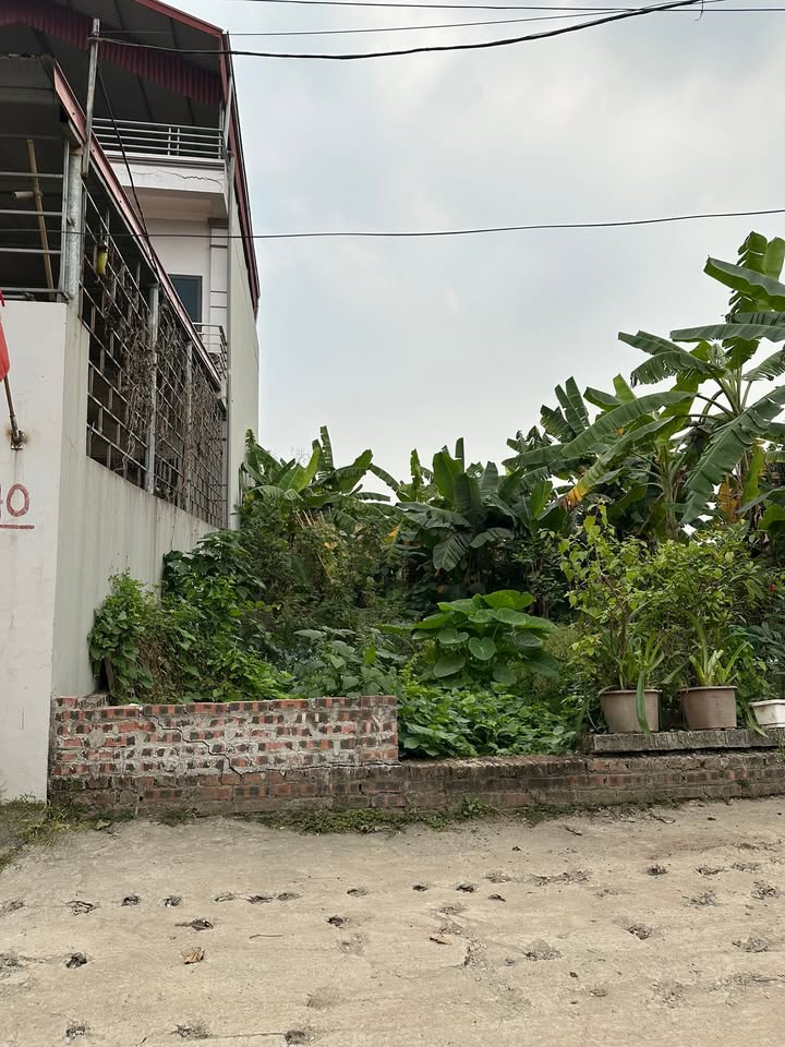 Đất nền Nguyên Khê Đông Anh 62m² 5 tỷ - Sổ đỏ chính chủ!