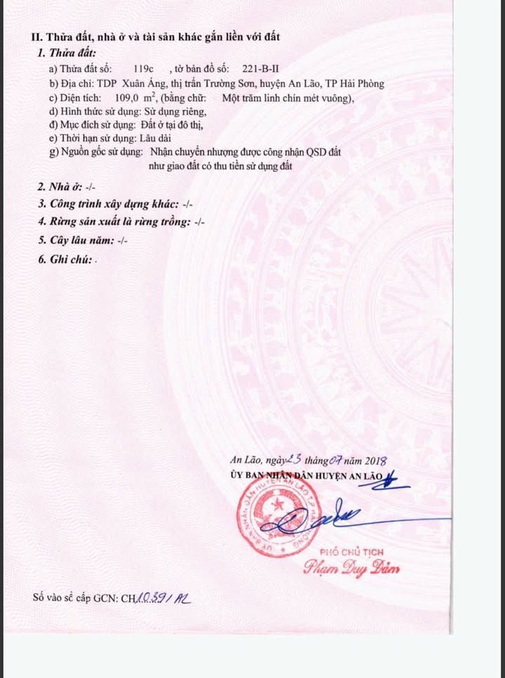 Đất nền 109m² Thị trấn Trường Sơn, An Lão - Sổ đỏ chính chủ, giá chỉ 800 triệu