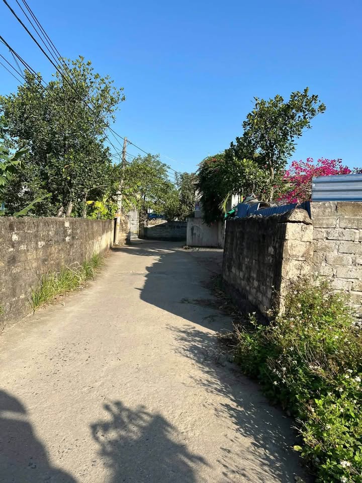 Đất nền Việt Khê, Thủy Nguyên 120m² - Sổ đỏ chính chủ, xây dựng tự do!