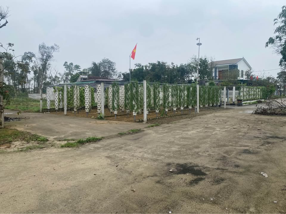 Bán đất Nghi Phong, Nghệ An 92m² - Sổ đỏ sẵn, xây nhà an cư