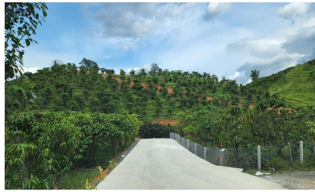 Đất Vườn Bảo Lộc 4339m² giá 2.8 tỷ - View thiên nhiên tuyệt đẹp!