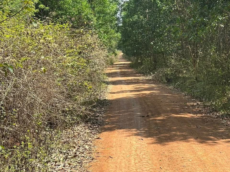 Đất nền 6ha K' Dang, Gia Lai 9.6 tỷ - Tiềm năng tăng giá!