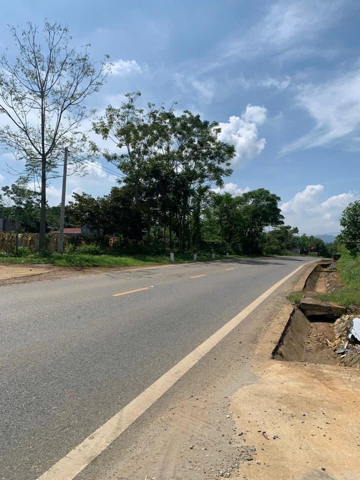 Đất Vàng 846m² Mặt Tiền Đường Mòn HCM, Ngọc Lặc - Sổ Đỏ Sẵn Sàng