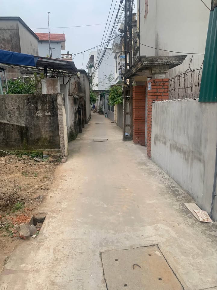 Đất nền Vũ Thư 50m² nhỉnh 1 tỷ - Đường to ô tô, tiềm năng vàng!