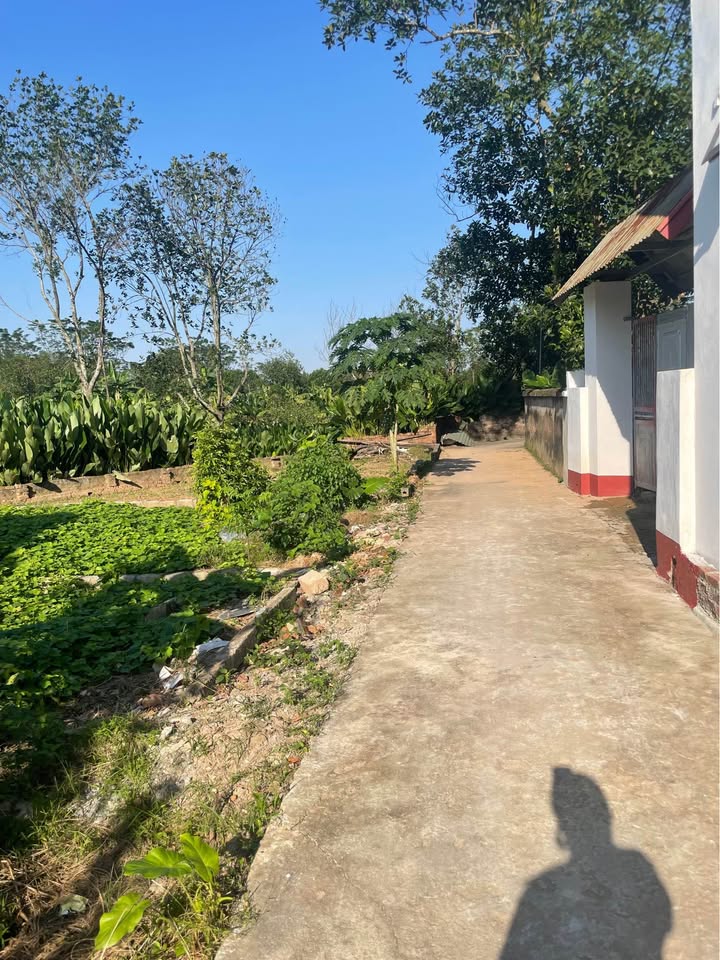 Đất nền Tràng Cát Thanh Oai 62.8m² - Đường to ô tô, tiềm năng tăng giá!