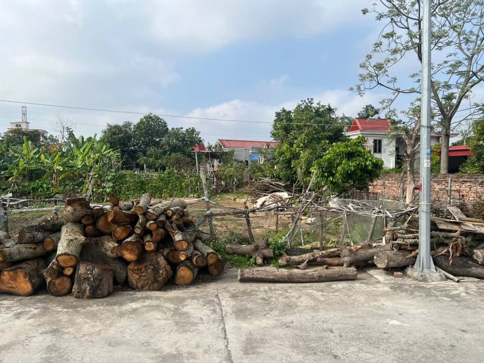 Đất nền An Lão 200m² - Tiềm năng tăng giá vượt trội!