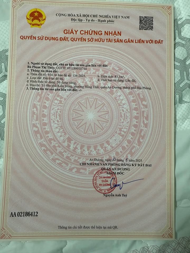 Đất nền Hồng Thái, An Dương 94m² - Đường ô tô vào tận nơi