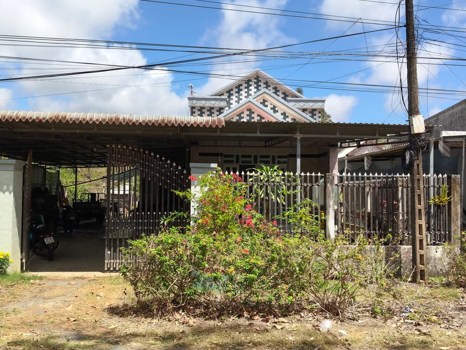 Bán Đất Vườn 840m² Mặt Tiền Nhựa Xã Long Hữu, Vĩnh Long - Giá Tốt Đầu Tư