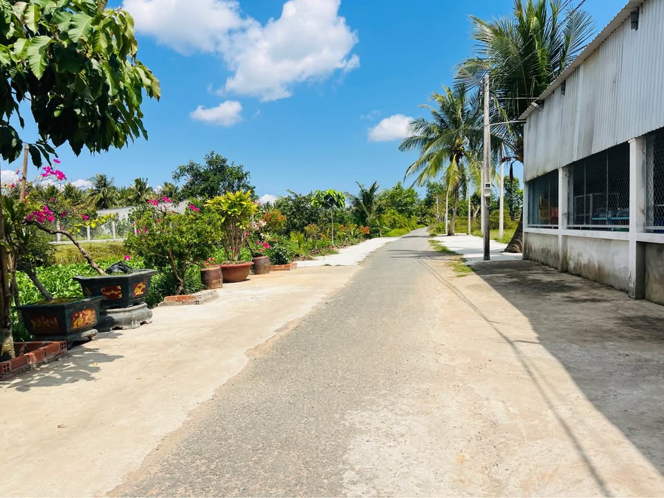 Đất nền Nguyệt Hóa, Trà Vinh 27.5m² - Đất thổ cư 100%