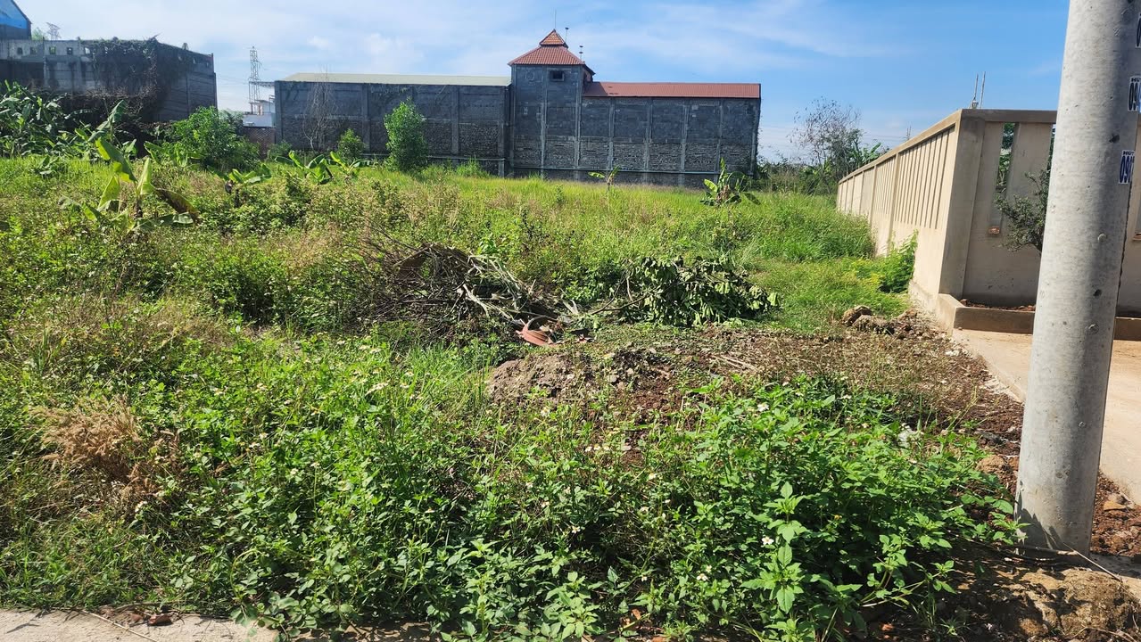 Đất Vĩnh Cửu Đồng Nai 132m² - Sổ Sẵn, Sát Đường 767