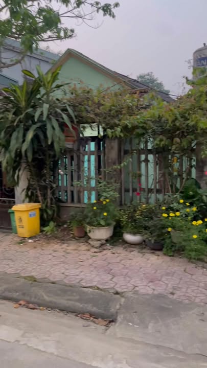 Bán Đất Tặng Nhà Cấp 4, 151m² Mặt Tiền Kép Tại Thanh Ba, Phú Thọ