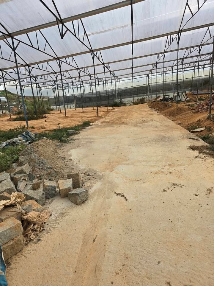 Bán Đất Phường 7 Đà Lạt 74m² Giá 500 Triệu - Sổ Hồng Rõ Ràng