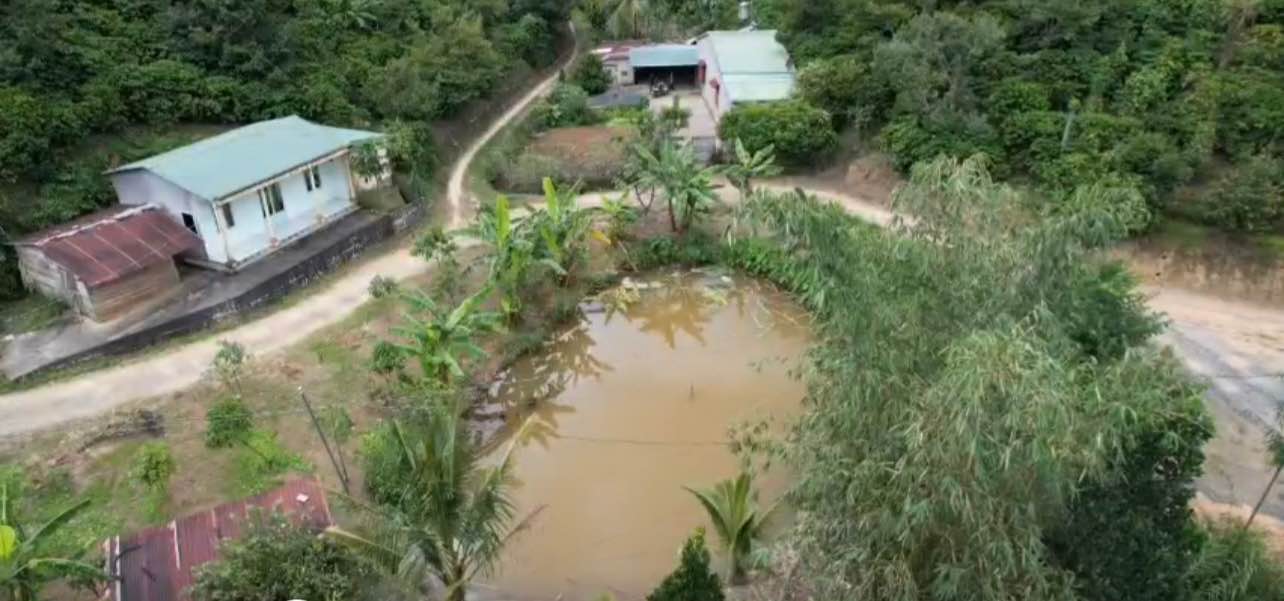 Đất Nền 900m² Thôn 8b Lộc Thành - Giá 800 Triệu Chính Chủ