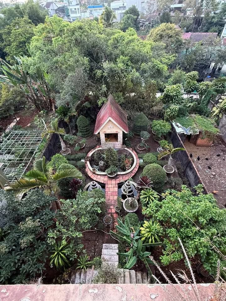 Nhà Mặt Tiền Trần Phú Bảo Lộc 480m² - Kinh Doanh Sầm Uất, Giá 45 Tỷ