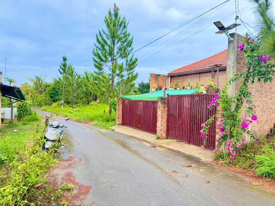 Đất Nền Bảo Lâm 279m² - Mặt Đường Nhựa, Gần QL20 Chỉ 780 Triệu