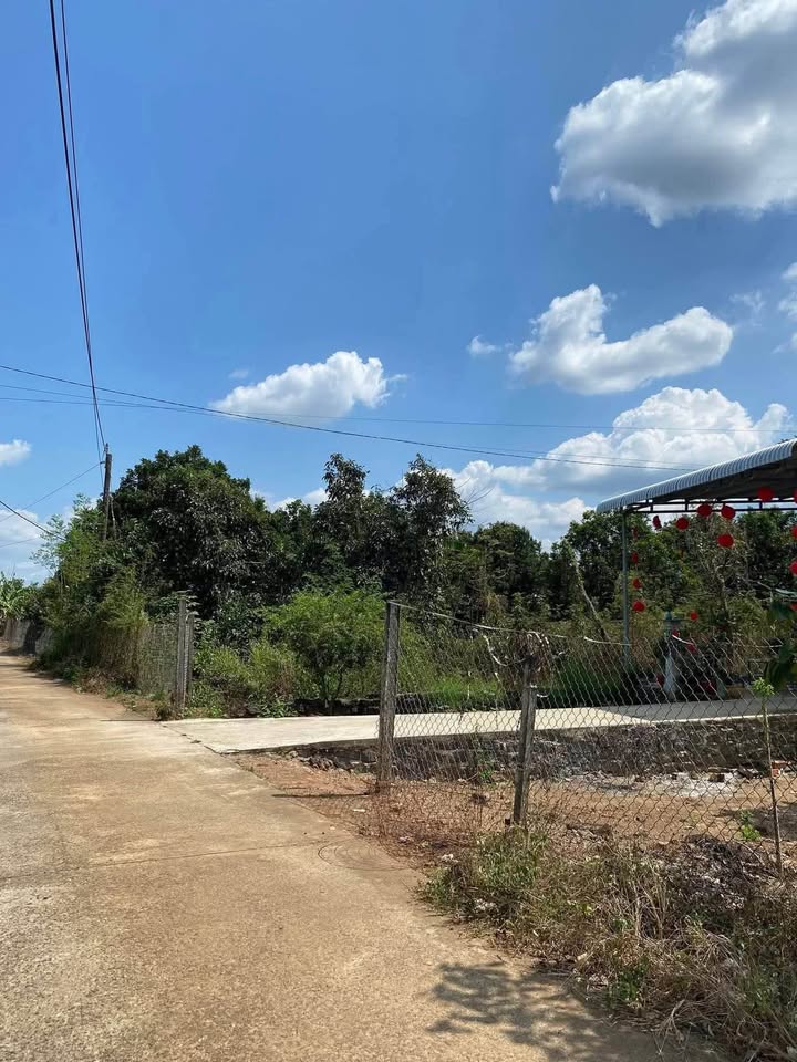 Đất Tân Phú, Đồng Nai - 100m² Thổ Cư, Giá Giảm Sốc Chỉ 350 Triệu