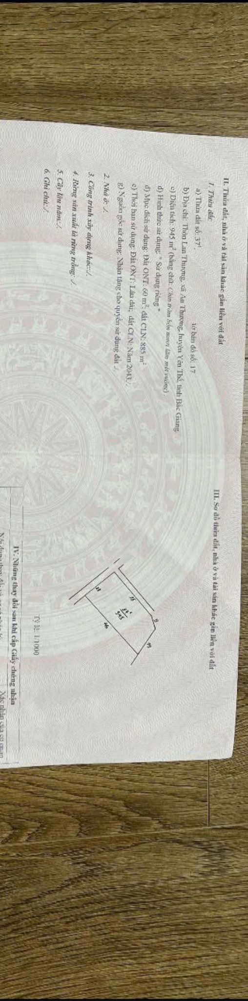 Đất nền Tam Tiến, Yên Thế 1000m² giá 700 triệu – Sổ đỏ chính chủ