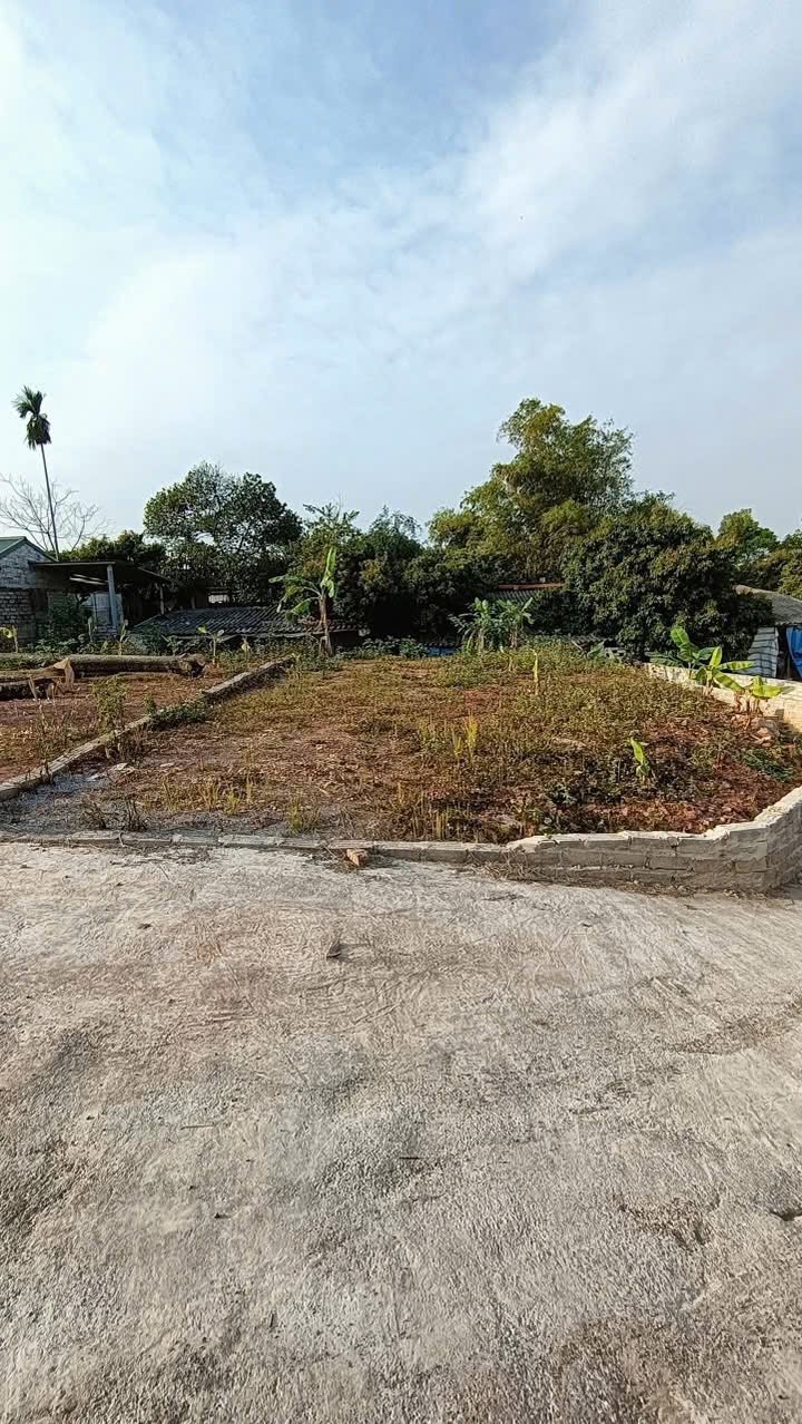 Bán Gấp Đất Vàng Tiên Lục, Lạng Giang 134m² - Sẵn Sổ Hồng, Gần KCN