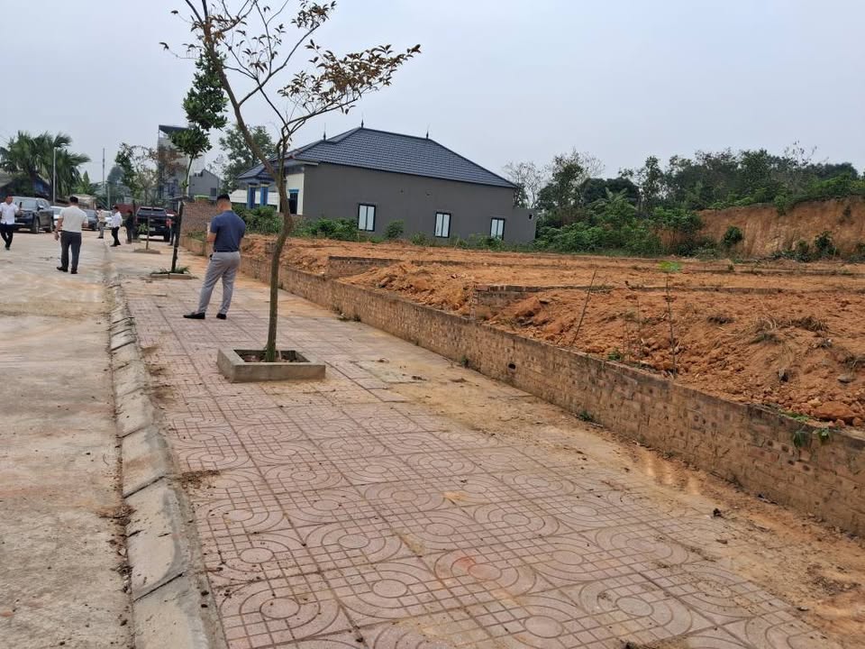 Đất nền Vĩnh Phúc - 110.5m² TDP Sơn Đồng, Kim Long - Gần KCN Tam Dương