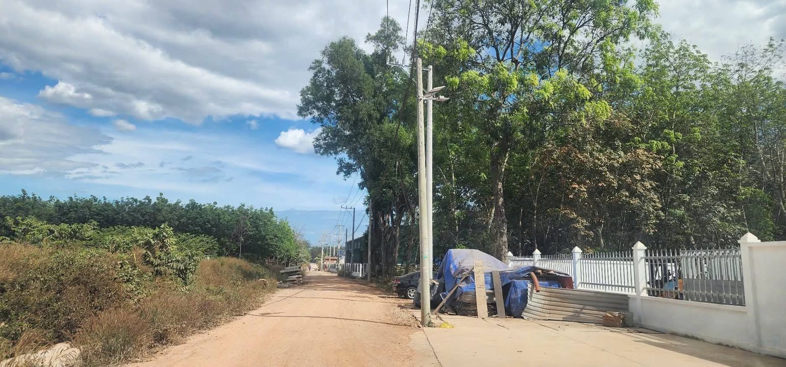 Đất SKC 6000m² Tân Uyên - Sẵn Sàng Xây Kho Xưởng, Gần ĐT747