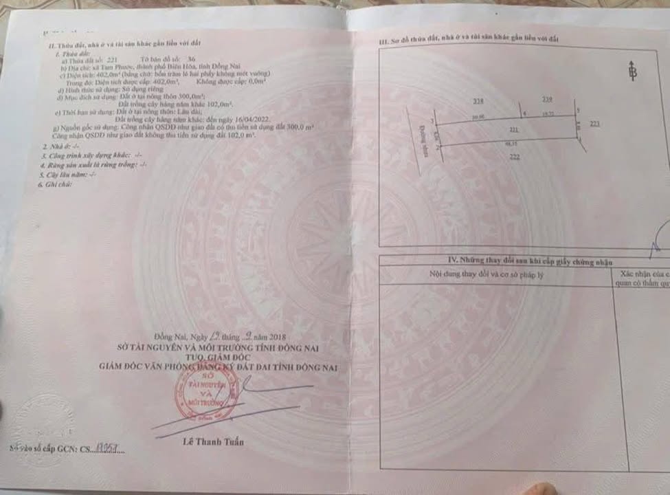 Nhà Mặt Tiền Nguyễn Hoàng Tam, Biên Hòa - Kinh Doanh Sầm Uất, 392m², 9 Tỷ