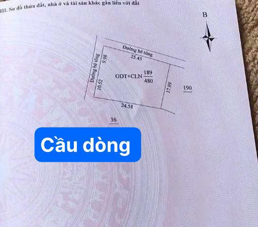 Đất nền 480m² mặt tiền đôi, P. Trần Hưng Đạo, TP. Hải Phòng - Giá thương lượng
