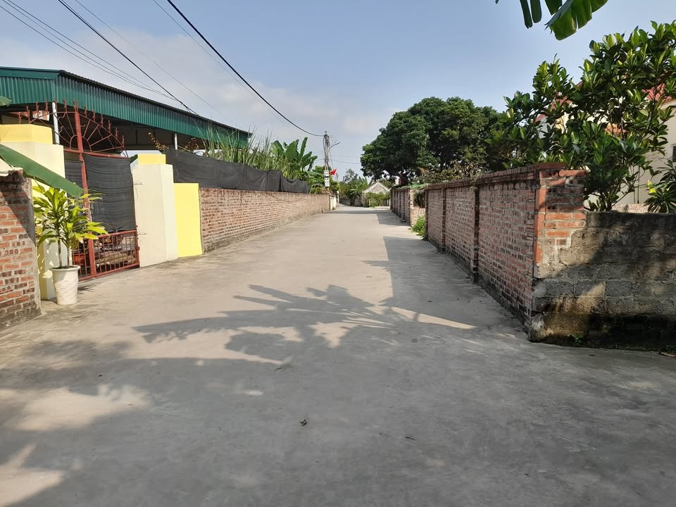 Đất Nền Xã Hà Nam, Thanh Miện, Hải Dương - 100m² Giá Chỉ 6xx Triệu