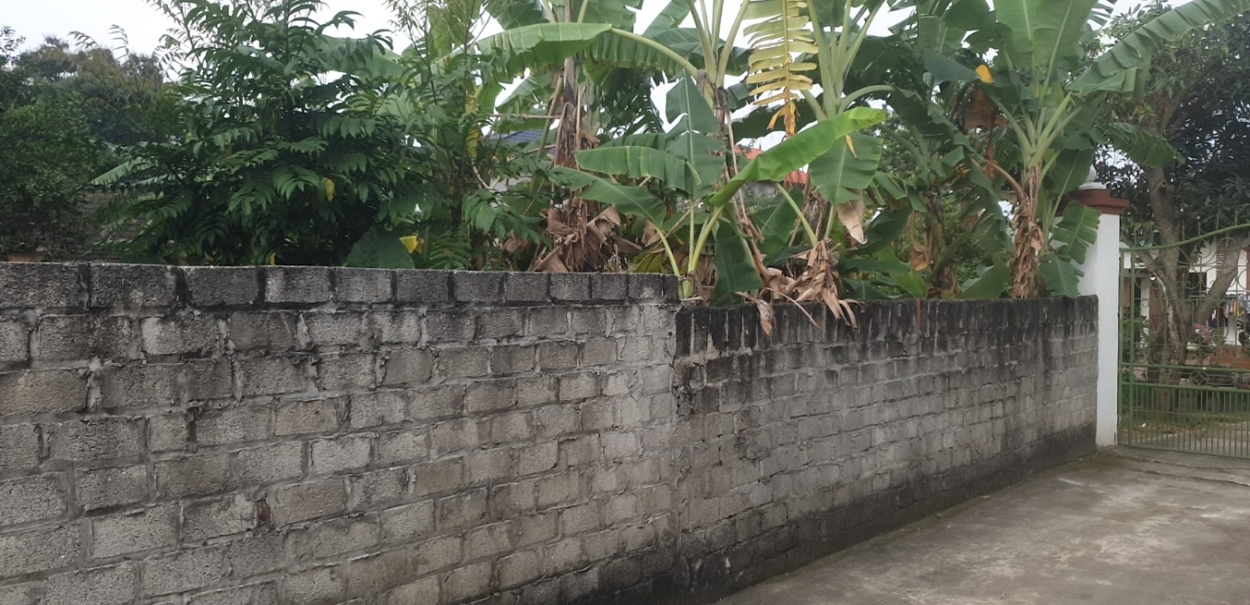 Đất thổ cư 90m² tại Bá Thiện, Sông Lô - Đầu tư sinh lời