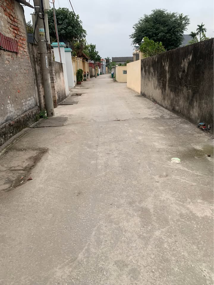 Đất nền 298m² Kiến Thụy, Hải Phòng - Sổ đỏ sẵn, tiềm năng đầu tư KCN Tân Trào