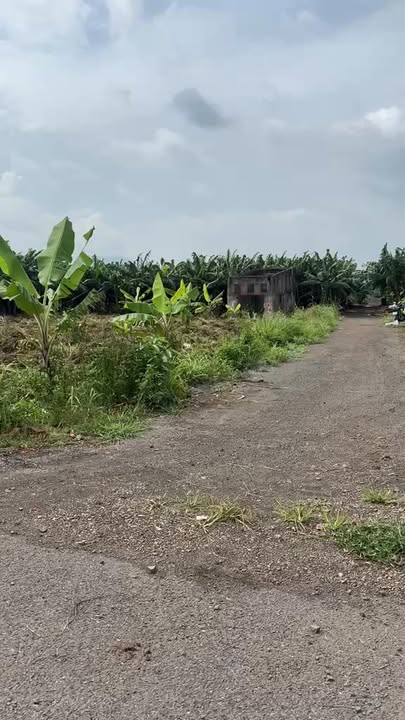 Đất nền Trảng Dài, Biên Hòa 1000m² - 2 Mặt Tiền, Tiềm Năng Đầu Tư!