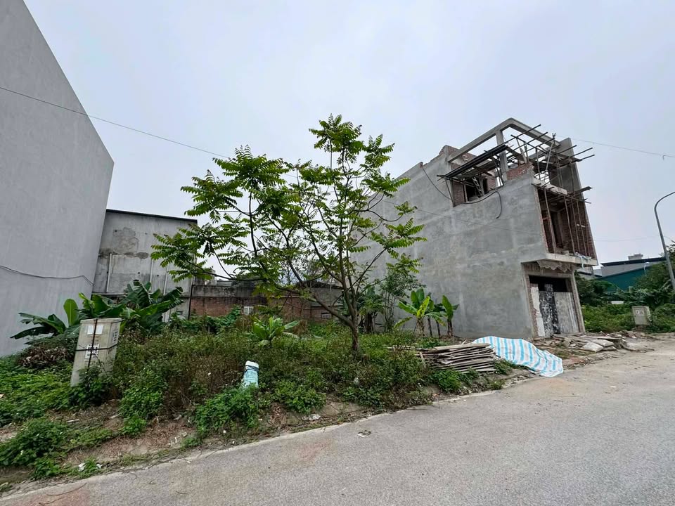 Đất nền Móng Làng Lục Ngạn 80m² giá 3 tỷ - Sổ đỏ chính chủ!