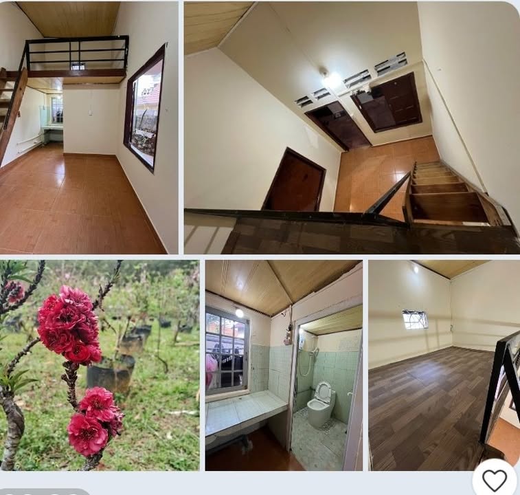 Phòng trọ Nguyễn Văn Trỗi Đà Lạt 2.5 triệu - Vị trí đẹp, giờ giấc tự do!