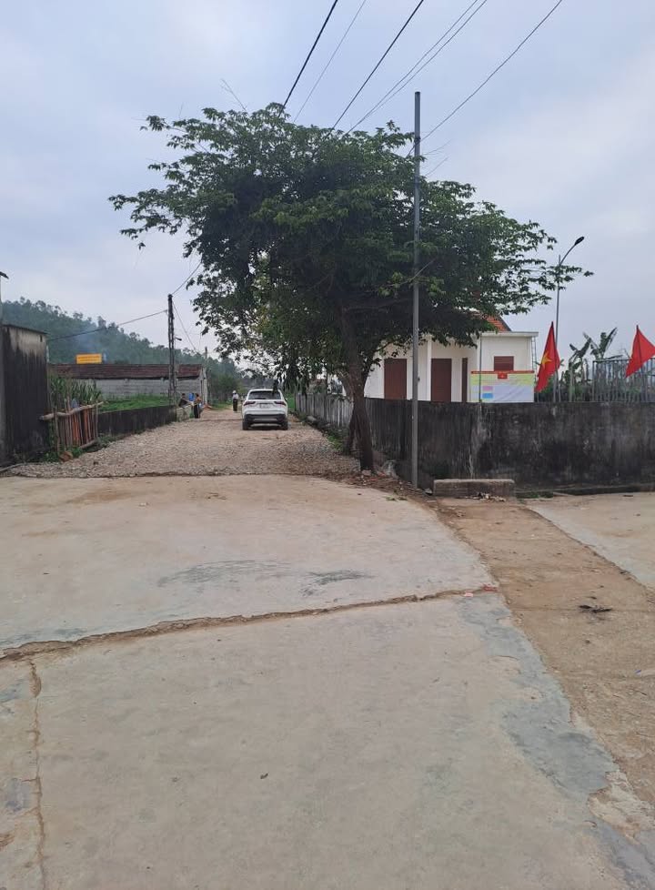 Bán Đất Vàng Hoàng Mai 160m² - Mặt Tiền Đường Rồng 10m - Sổ Đỏ