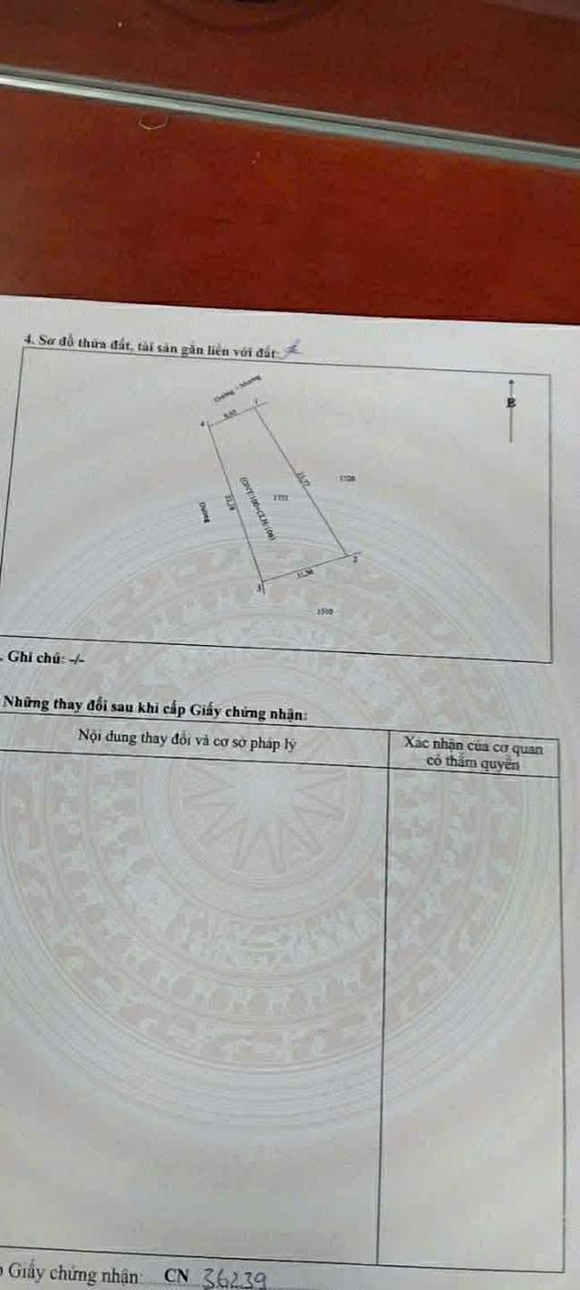 Đất nền Nghi Mỹ, Nghi Lộc 206m² - Sổ đỏ chính chủ, Đường nhựa thông!