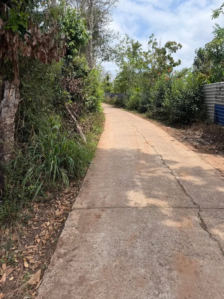 Đất nền Krông Bông 16400m² - Tiềm năng tăng giá vượt trội!