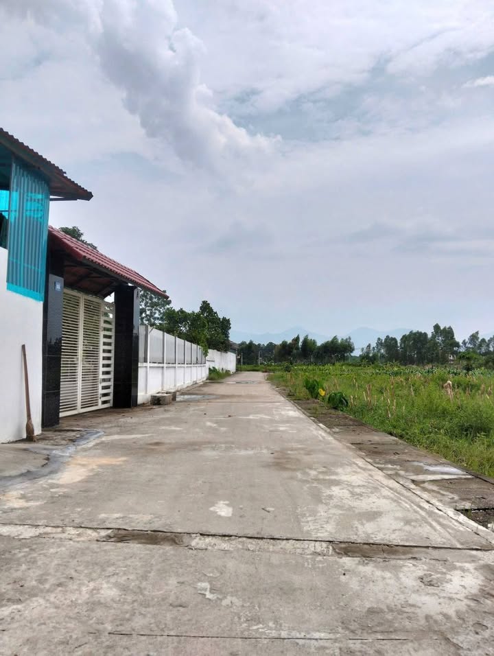 Đất nền Tam Dương 87m² giá 1 tỷ - Sổ đỏ chính chủ