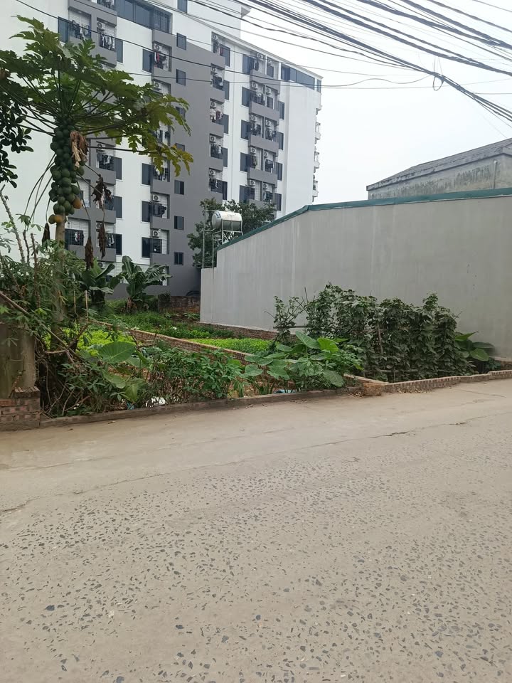 Đất 100m² Kinh Doanh Sát Khu CN Cao - Dòng Tiền Ổn Định - 3 Tỷ