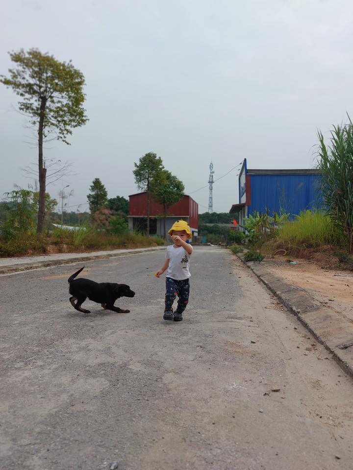 Đất nền RuBy Garden Yên Bình 90m² - Sổ đỏ chính chủ, tiềm năng tăng giá!