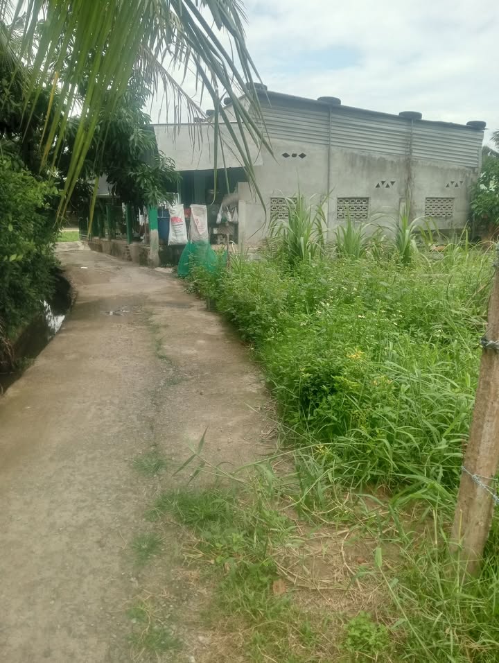 Đất nền 196m² full thổ cư Đại Cát 1, Ninh Hòa - Sẵn sàng đầu tư