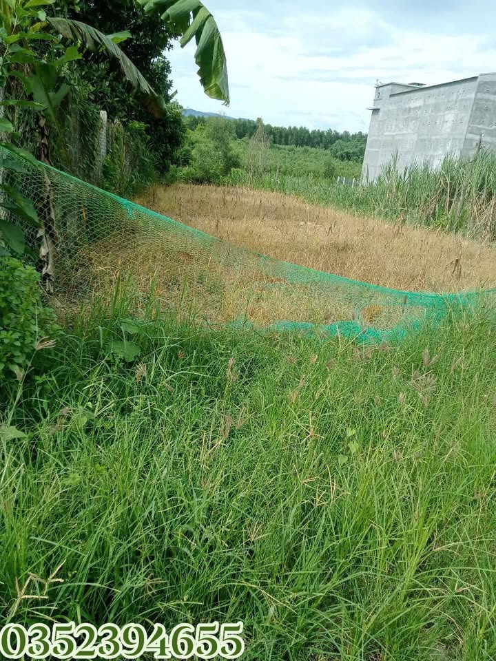 Đất Diên Lâm Diên Khánh 535m² - Sổ đỏ chính chủ, đường ô tô!