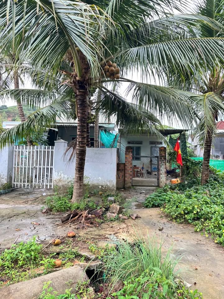 Đất Đắc Lộc Nha Trang 344m² - Sổ Đỏ Rõ Ràng, Giá 3.44 Tỷ