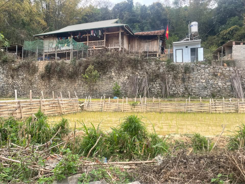 Bán Nhanh 2 Lô Đất Vàng Phường Chiềng Sinh, TP. Sơn La - Sẵn Sổ Đỏ