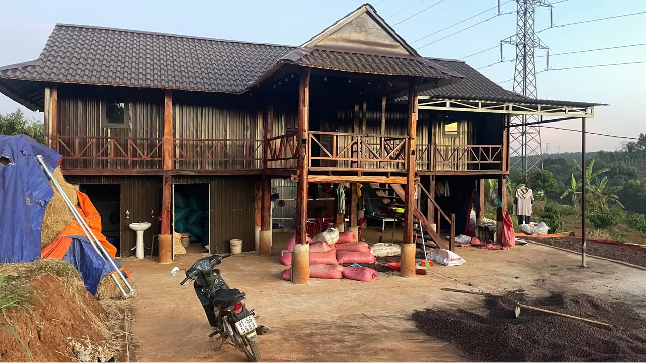 Rẫy cà phê Chư Păh, Gia Lai 1.7ha - Sổ đỏ chính chủ!