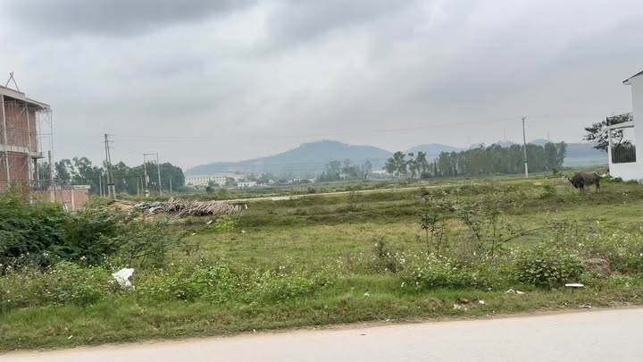 Đất Đấu Giá 200m² Mặt Tiền Kinh Doanh Đường Văn Đức Giai, Hoàng Mai