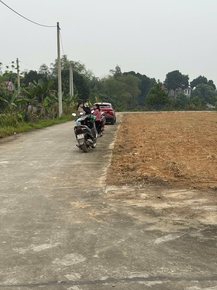 Đất đấu giá Tuy Lộc Cẩm Khê 150m² - Sổ đỏ sẵn sàng, giá F0 chỉ 7xx triệu