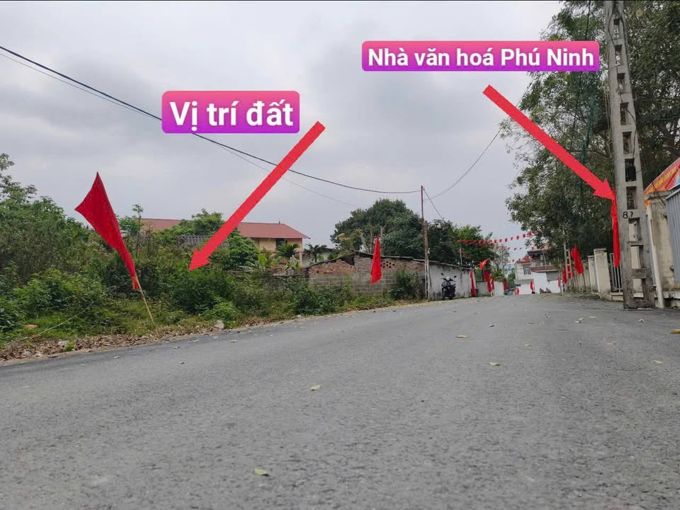 Đất Vĩnh Phúc 91.7m² - Mặt tiền Mai Hắc Đế, Tam Dương - Sẵn Sổ Hồng